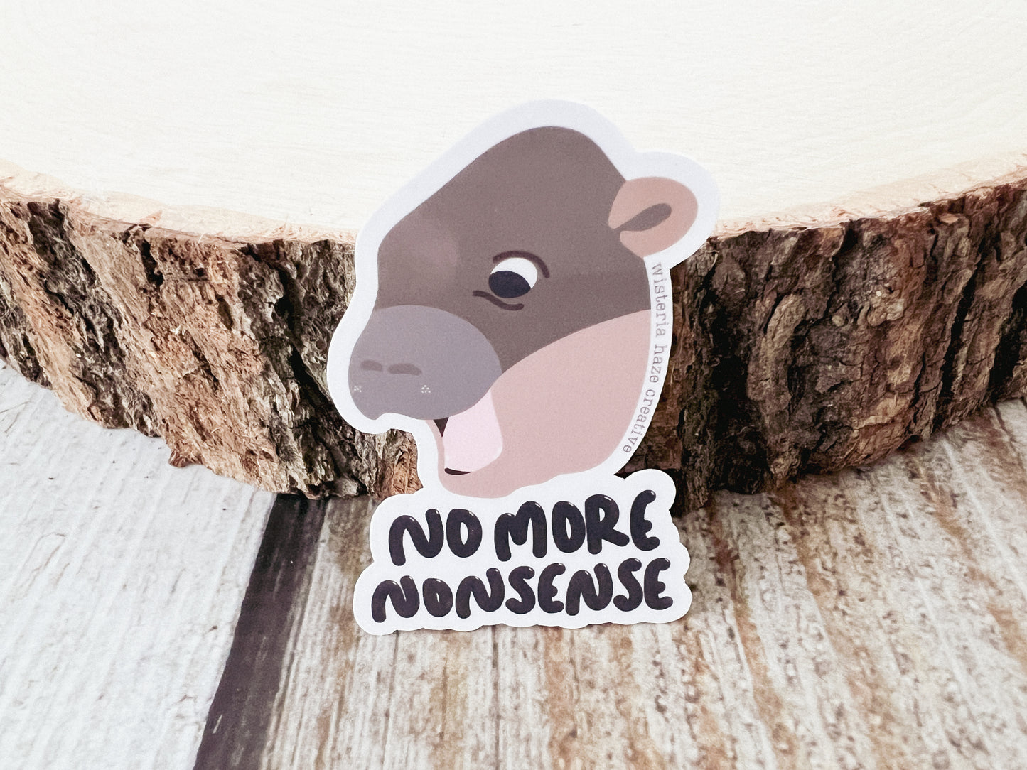 No More Nonsense Sticker