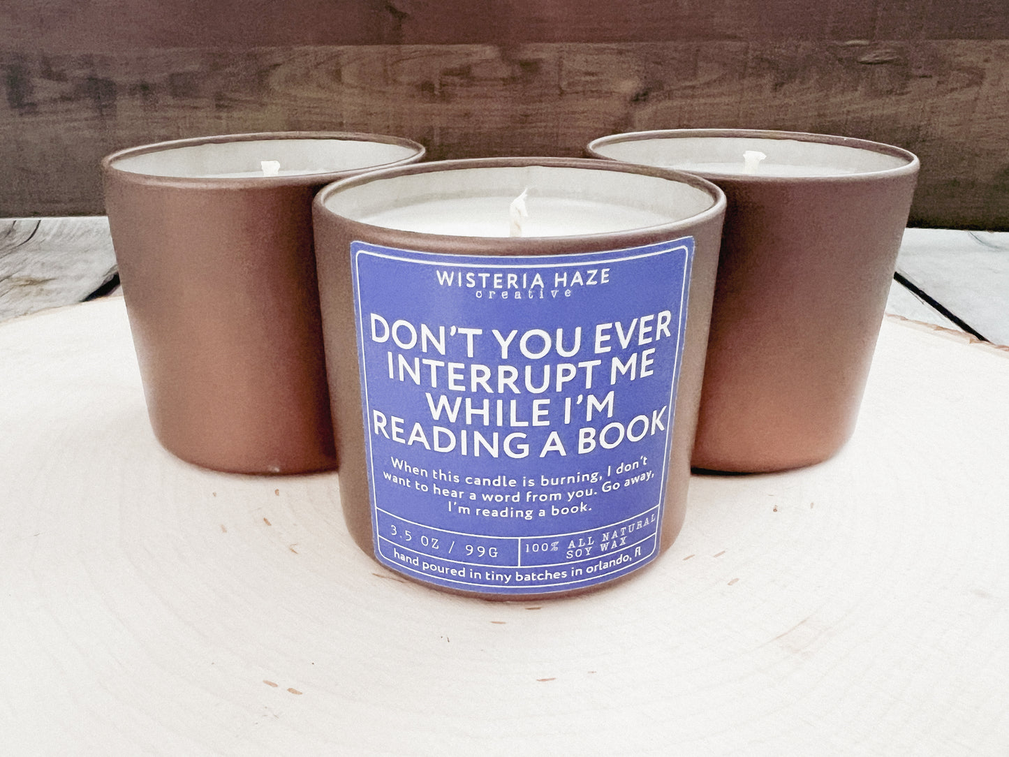Don't You Ever Interrupt Me While I'm Reading a Book Candle