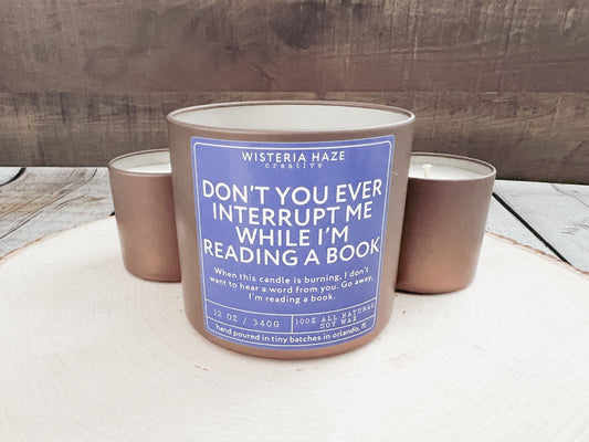 Don't You Ever Interrupt Me While I'm Reading a Book Candle