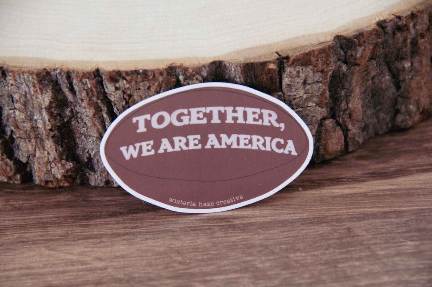 We Are America Sticker
