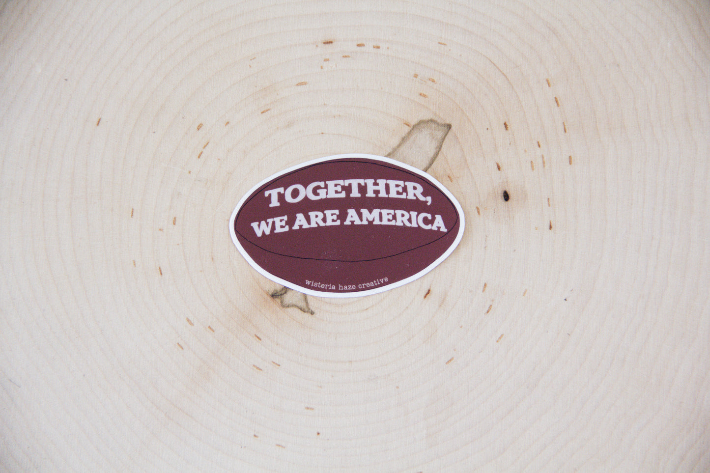 We Are America Sticker